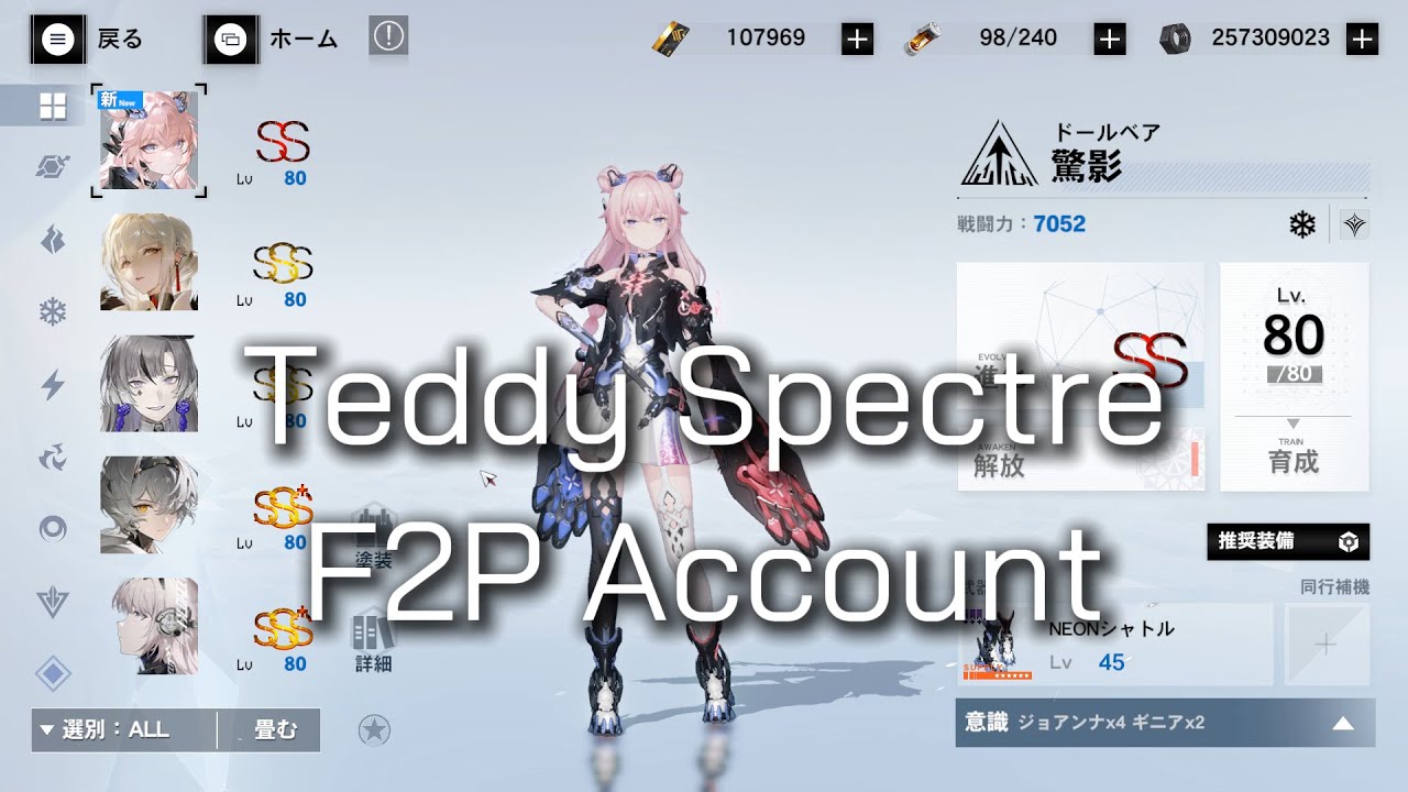 Punishing Gray Raven Teddy Spectre SS Rank Fate Banner Character Build F2P Account 