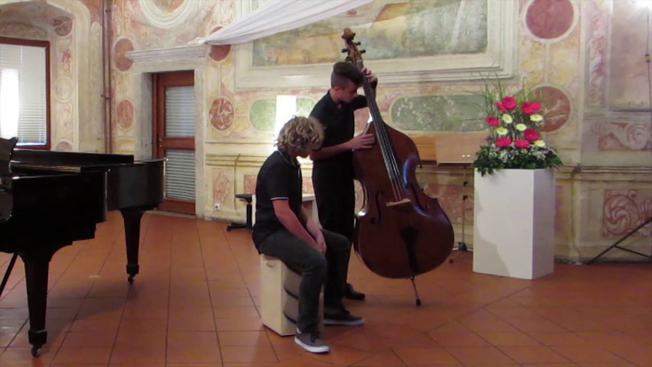 Can't Stop Running - Cover w/ Aleksander Licen & Filip Leban - Double Bass & Cajon
