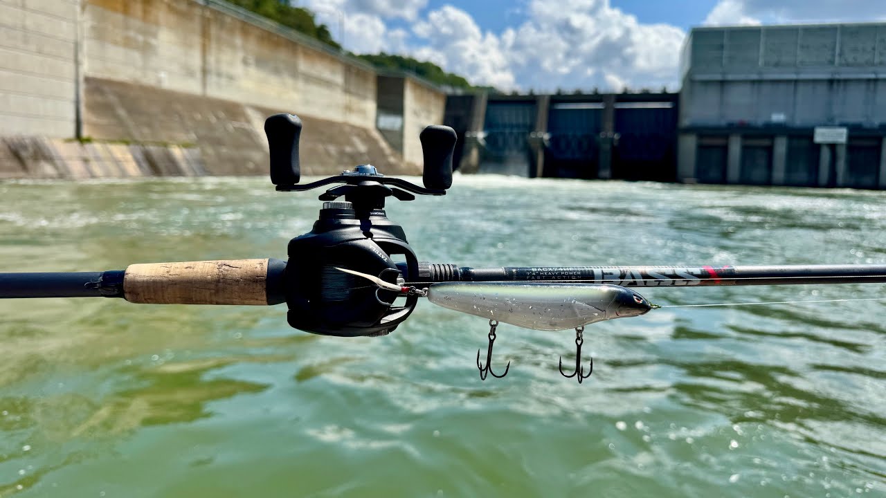 Big Tennessee Dam Striped Bass!! This Bait Could Save Your Trip!! Top Water Action 