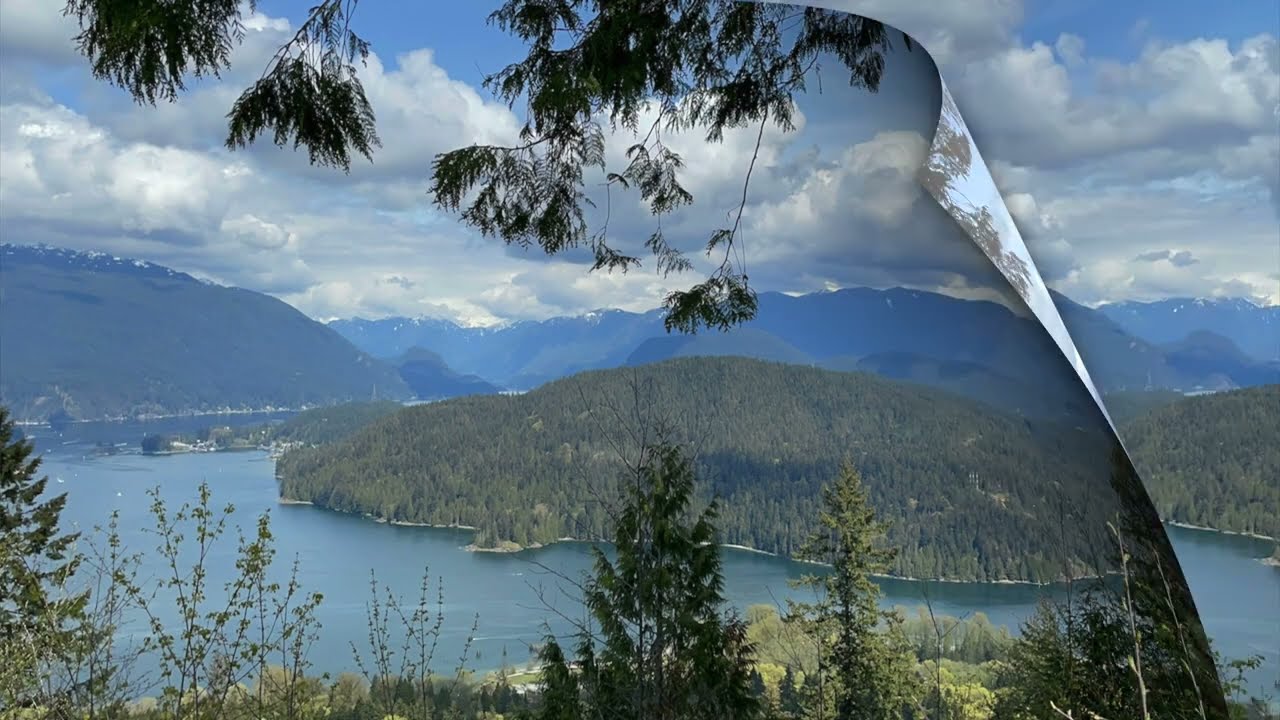 Burnaby Mountain Park Trail