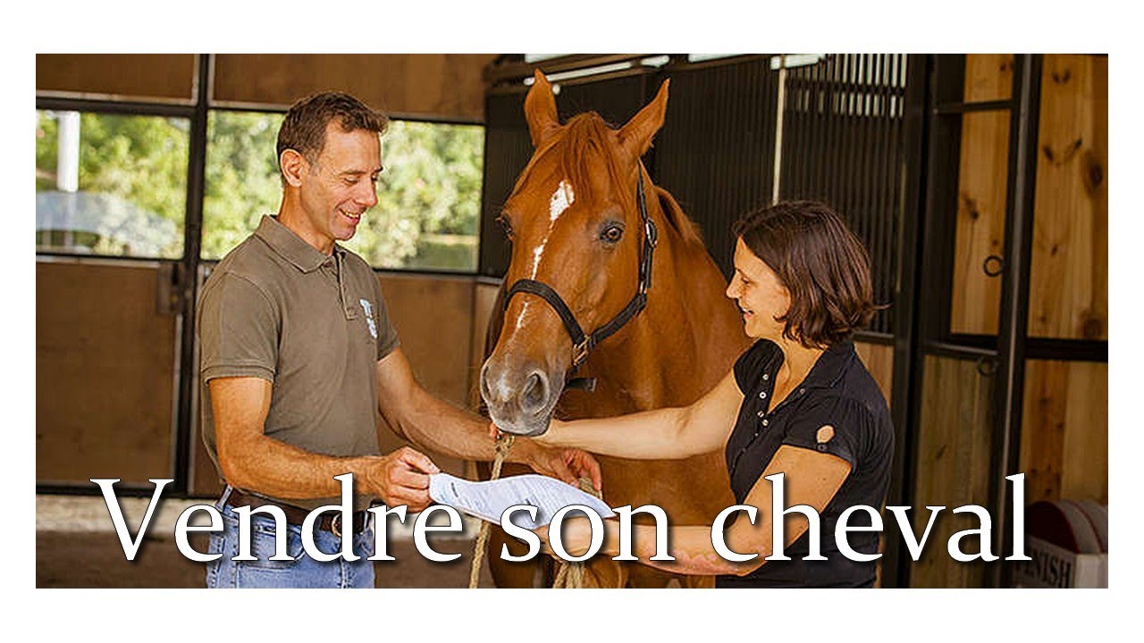 [Débat] Vendre son cheval, un sujet tabou !