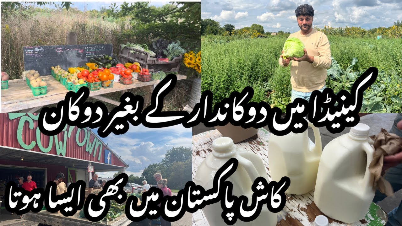 Canada Main Rah Ker Aisa Pahle Baar Dakha | Fresh Milk Farm | Shoes factory gaya