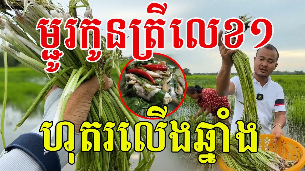 ជួបហើយ បានម្ជូរកូនត្រីលេខ១ ហុតររលើងឆ្នាំង