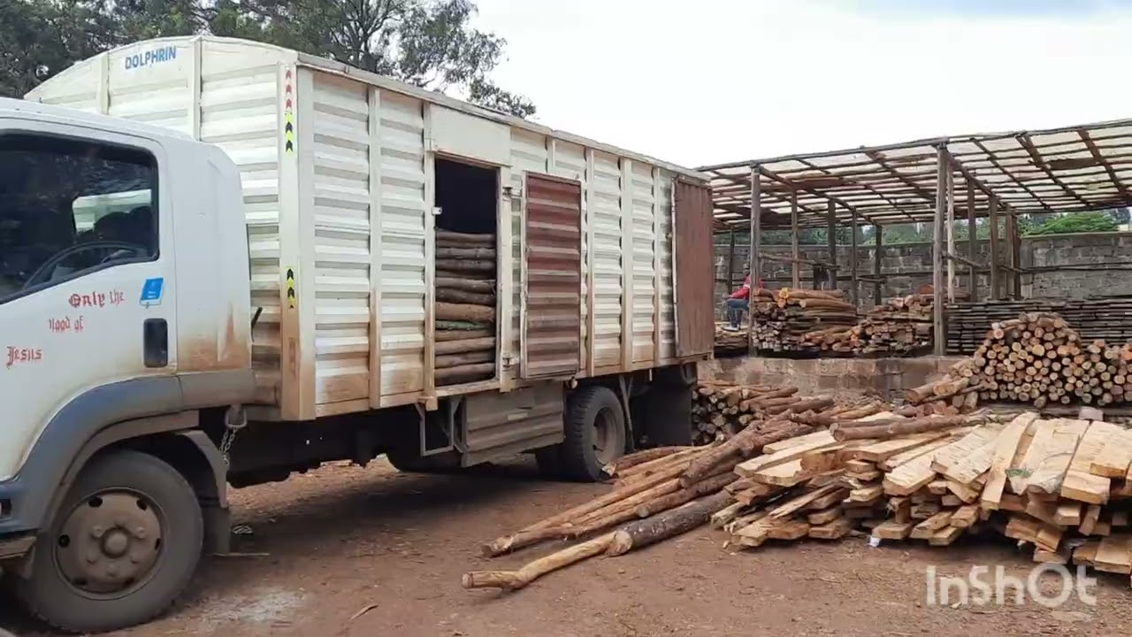 Inside Kenyan biggest growing timber Business in Kikuyu Kiambu county #business #life #woodworking