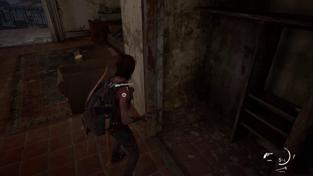 Last of Us