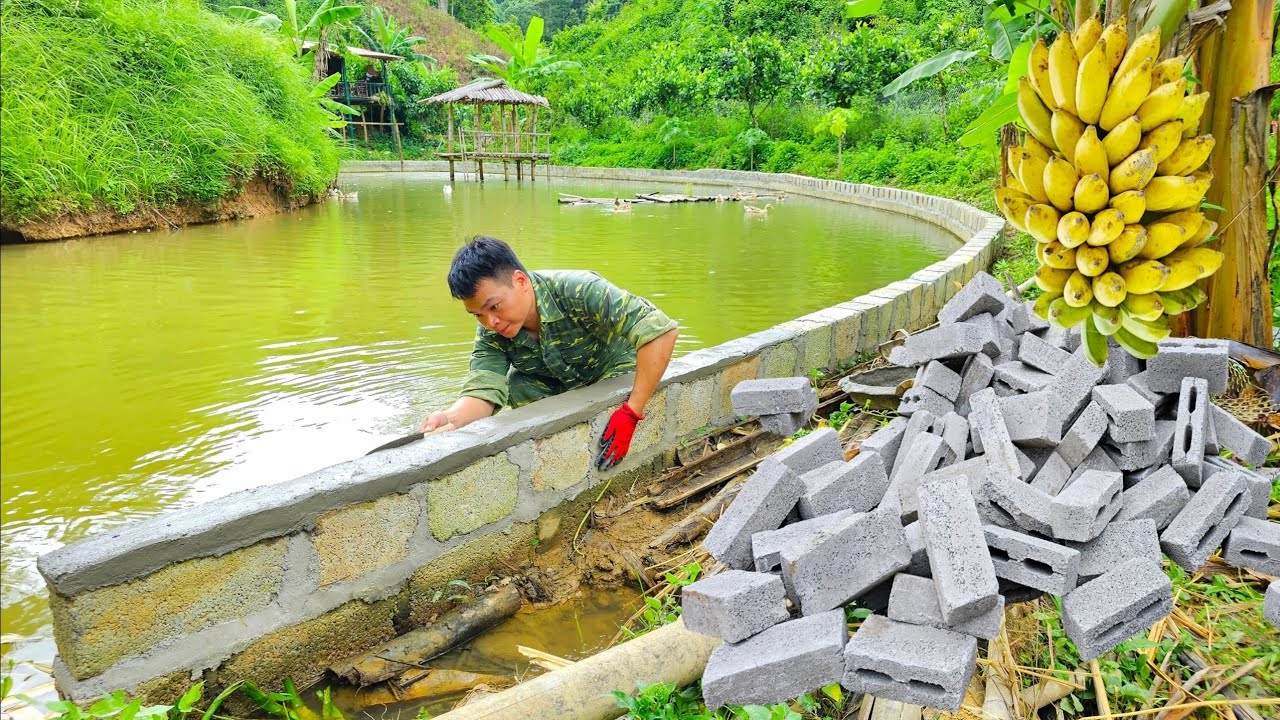 Full video: of building a fish pond, using old bricks to raise the pond bank, banana harvest