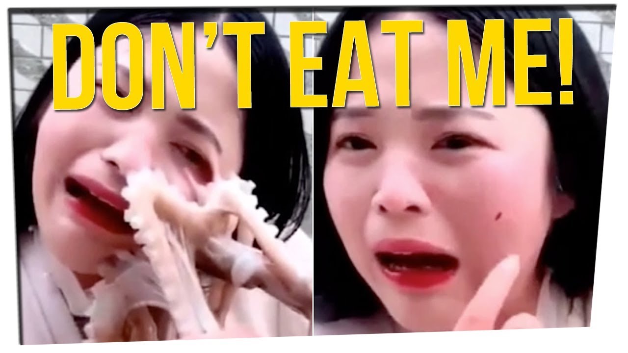 Octopus Sucked Onto Vlogger's Face During Mukbang (Ft. Anthony Lee)