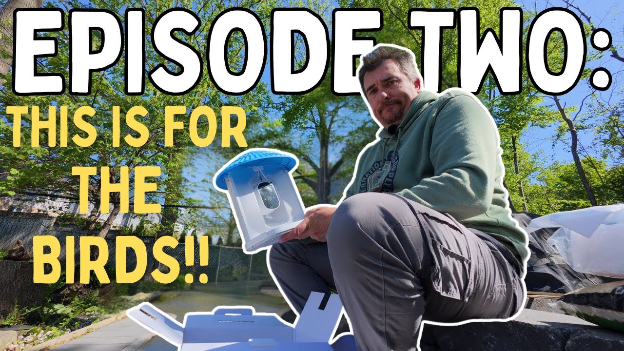 Episode Two:  This is For The Birds - A Backyard To Do's Vlog