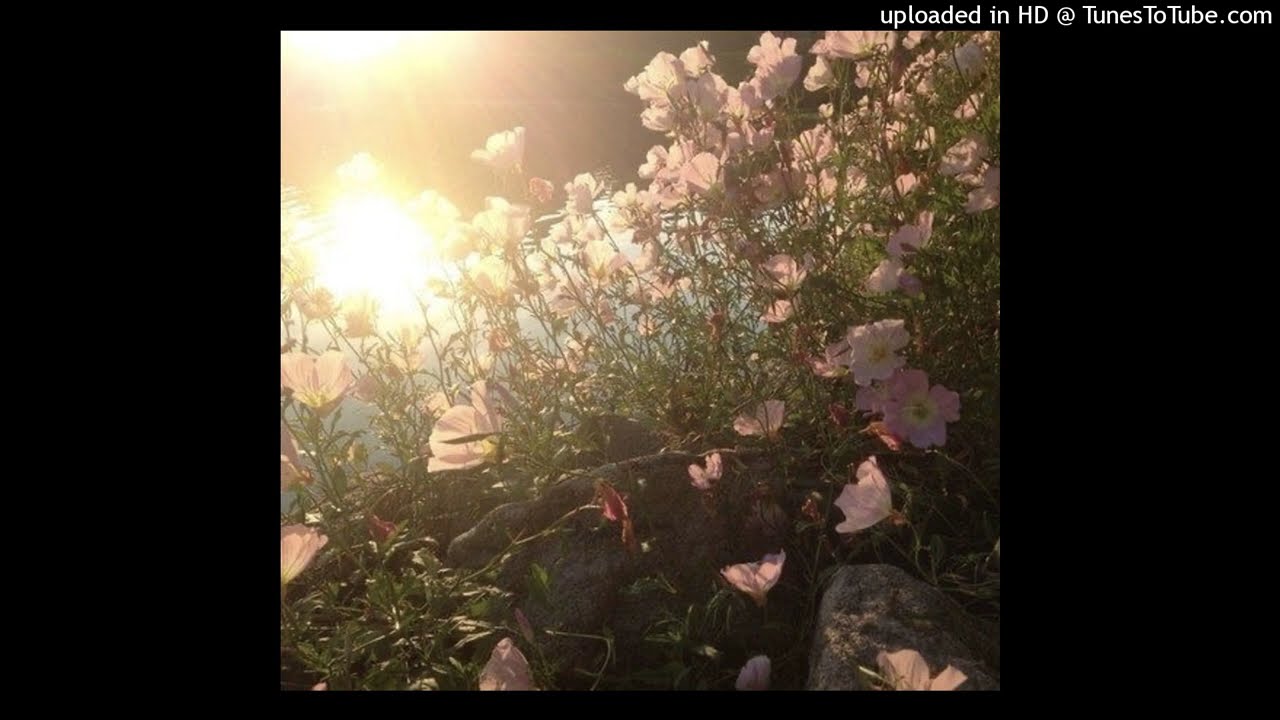 slayr halfblood ginseng type beat - euphoric