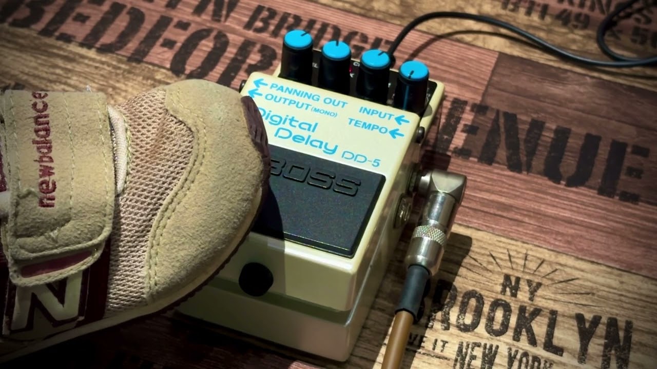 BOSS DD-5