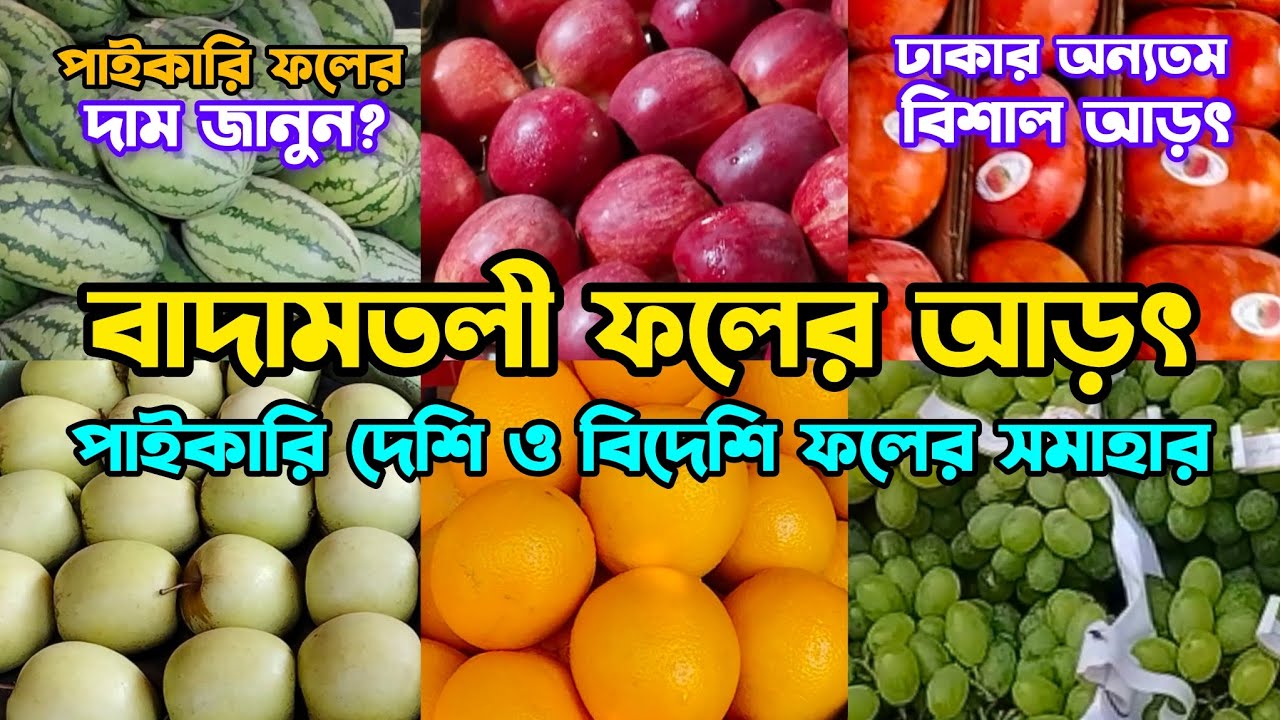 বাদামতলী ফলের আড়ৎ | ট্রাকে নিলামে কম দামে ফল কিনুন ও আড়তে বর্তমান পাইকারি দাম জানুন? #বাদামতলী #আড়ত