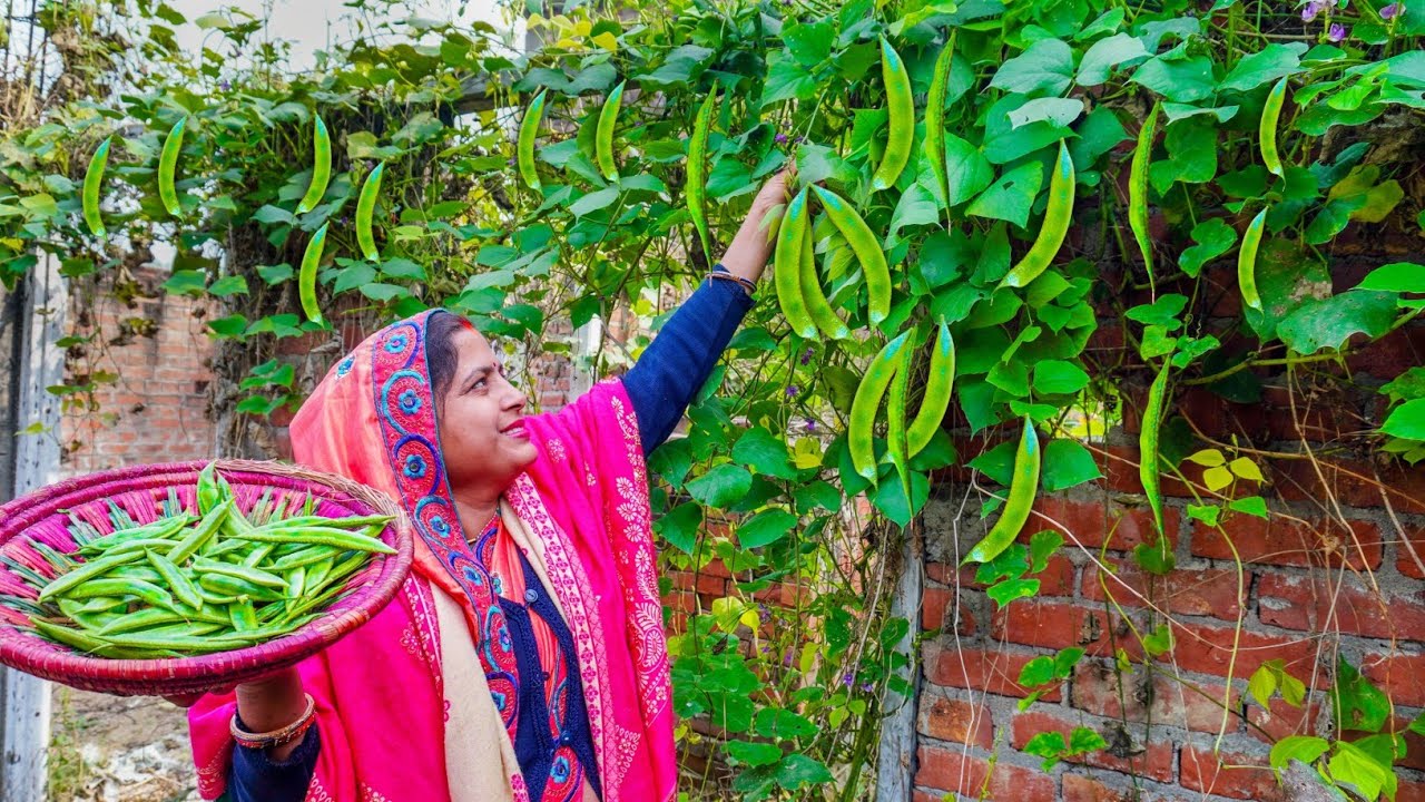 गांव के तरीके से बनाएं आलू सेम की ऐसी सब्जी, उंगलियां चाटते रह जाएंगे | Village Style Sem  Recipe