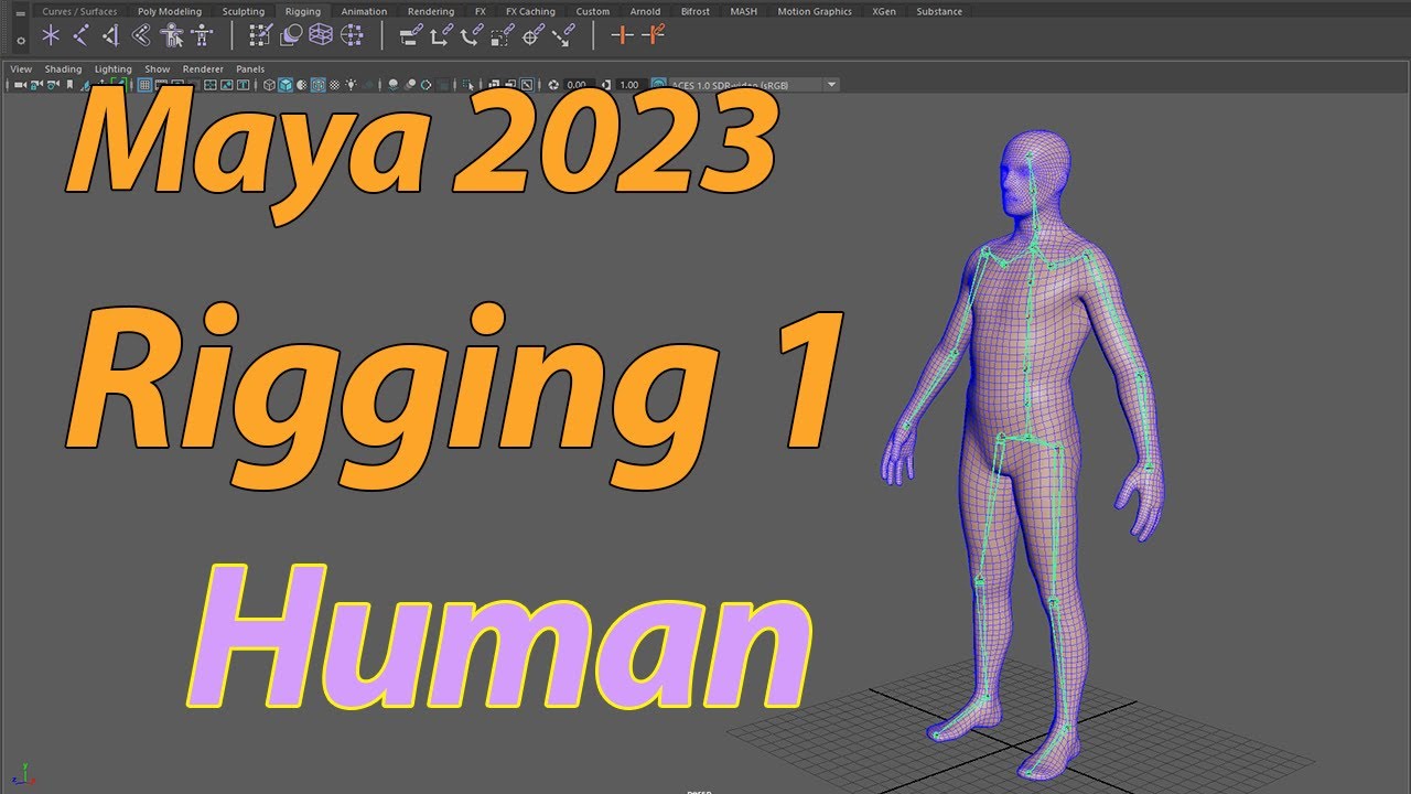 Rigging [ Paso a Paso ] Cuerpo Humano Usando  Autodesk Maya 3D fácil y sencillo