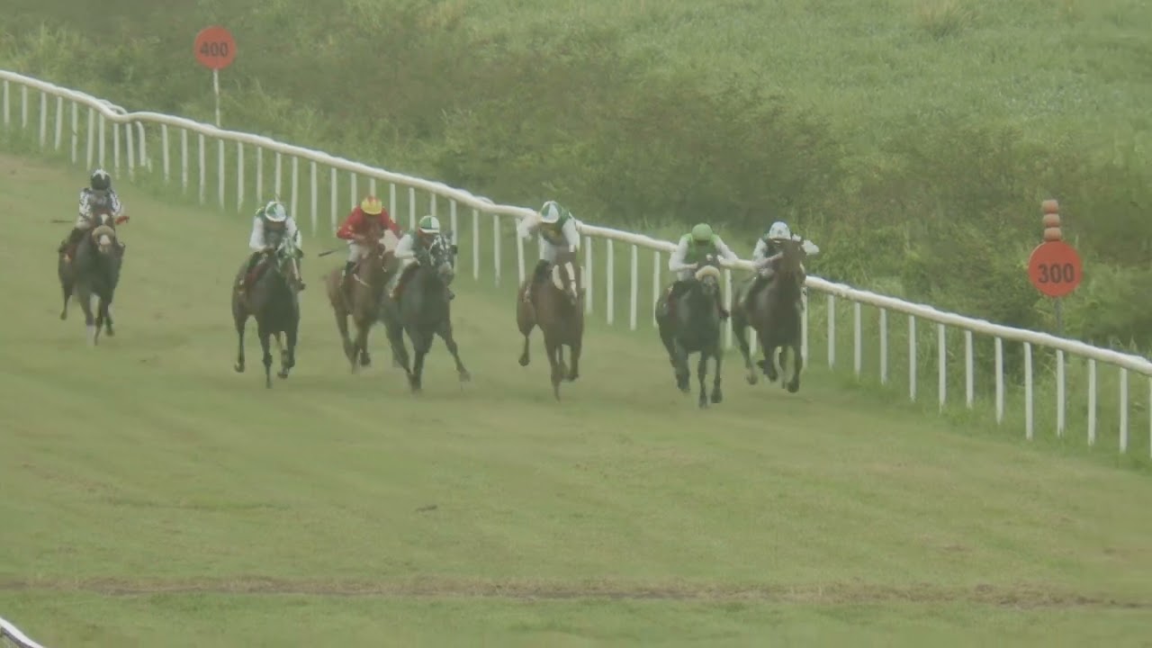Course 6 PRIX DU LOUP GAROU 08/02/26