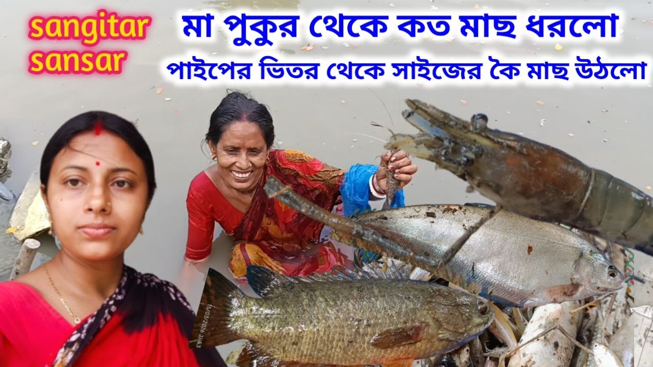 মা পুকুরে জাল ফেলে কত মাছ ধরল?পাইপের মধ্য আজ সাইজের কৈ মাছ উঠলো!Sangitar sansar 
