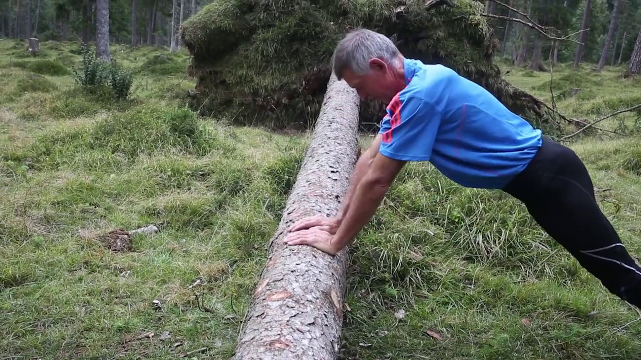 Sport im Freien - Abwechslungsreiches Training im Wald