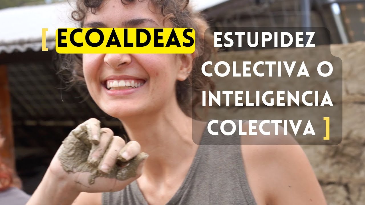 20 a&ntilde;os Aprendiendo a Vivir en Comunidad