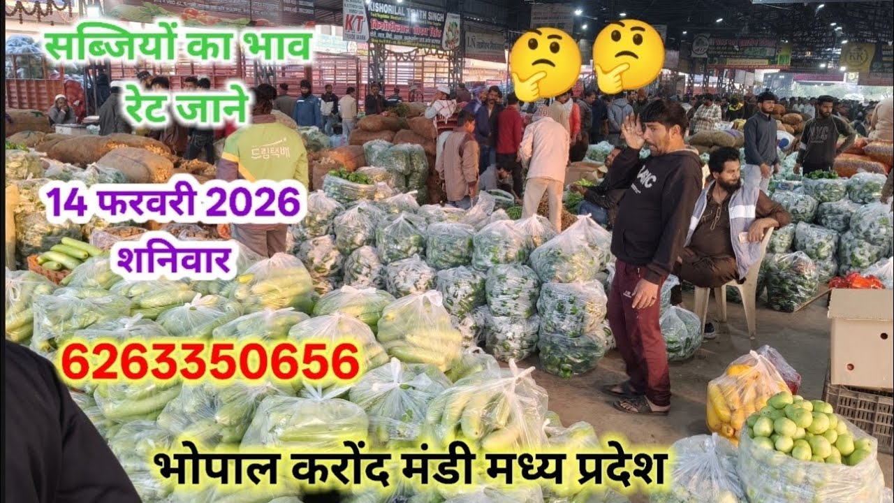 सब्जियों के भाव रेट जाने 🫑🥒🌶️🥦🌽 14 फरवरी 2026 all vegetable rate today Bhopal Mandi