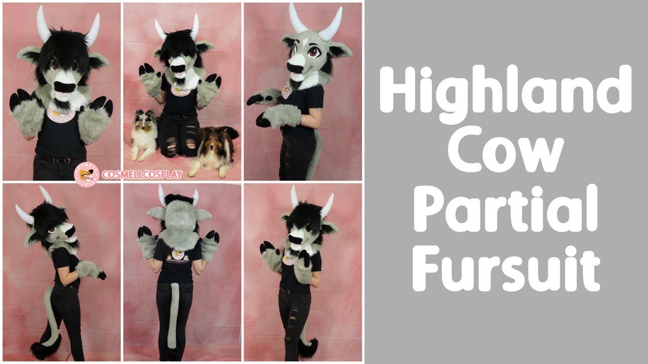 Highland Cow Partial Fursuit Showcase
