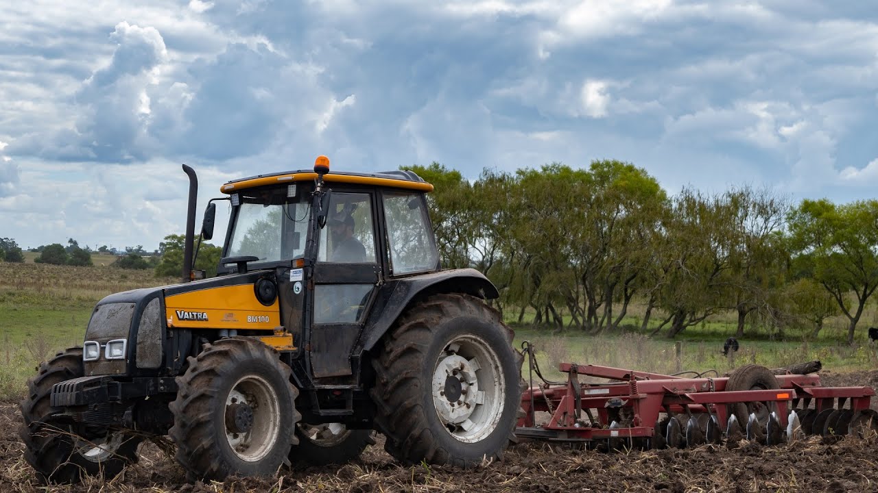 Valtra BM 100 проходит 36-дисковый эксцентрик Tatú, готовящий поле к посеву