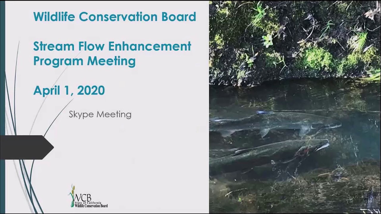WCB Stream Flow Enhancement Board Meeting 4/1/2020