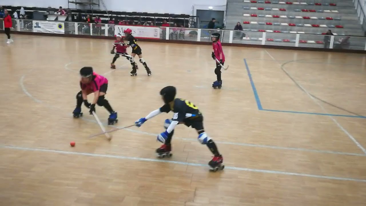 Hockey profesional