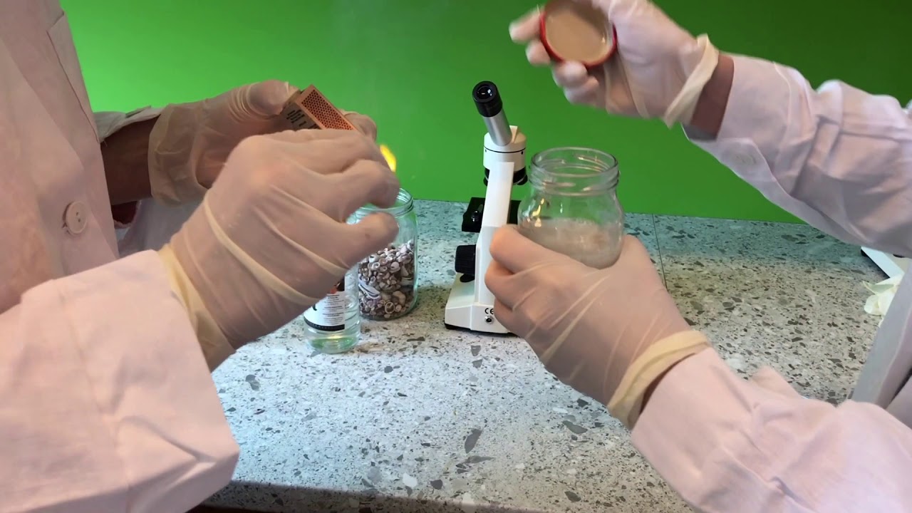 Pracownia Biologiczna - Liceum Ogólnokształcące w Rymanowie