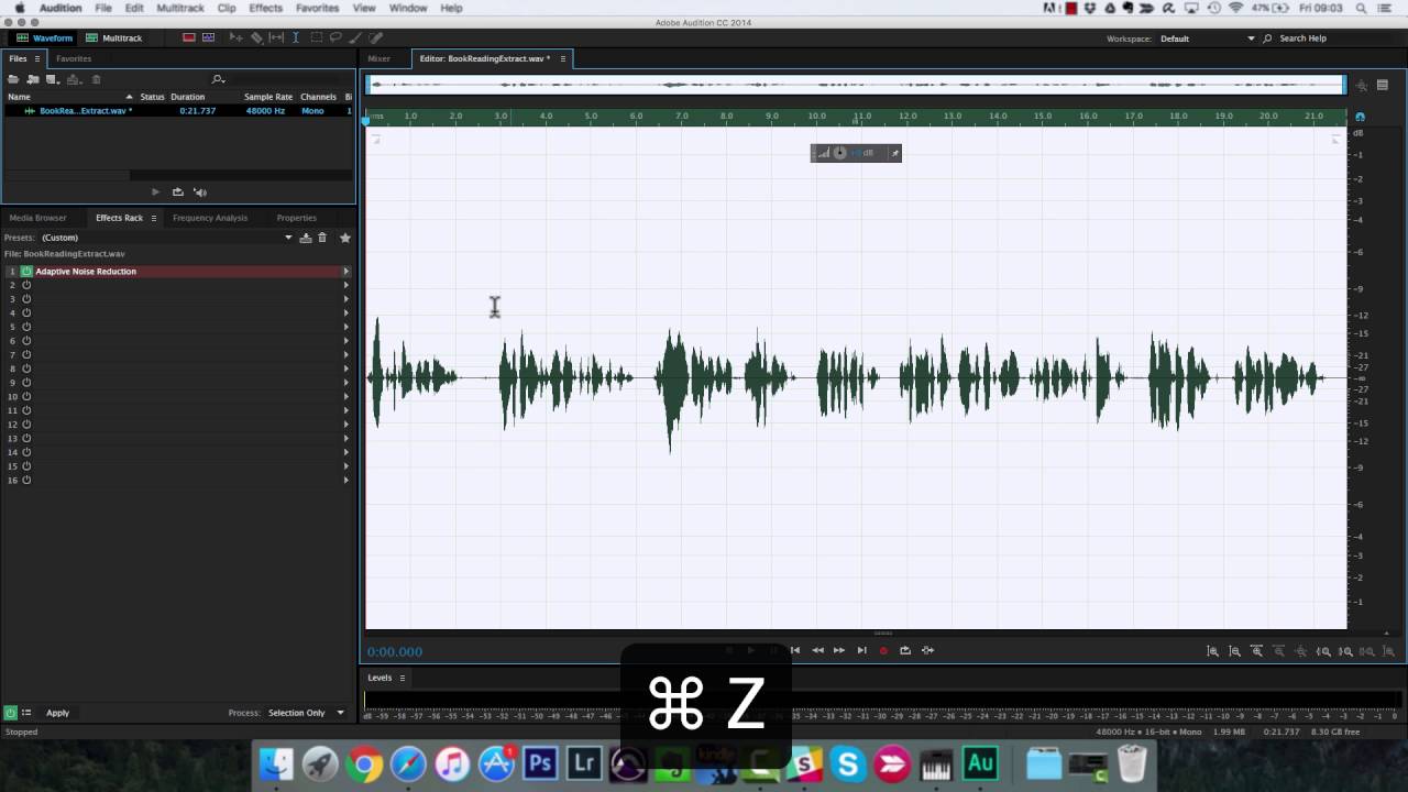 How To Process a Voice Over in Adobe Audition