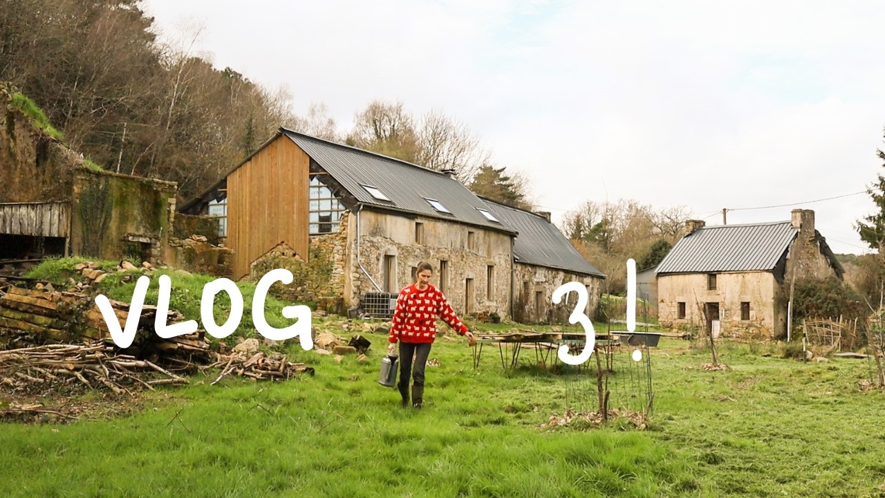 Vlog jardin 🌳 Fabrication d'une mini-serre, organisation des semis et gâteau matcha !