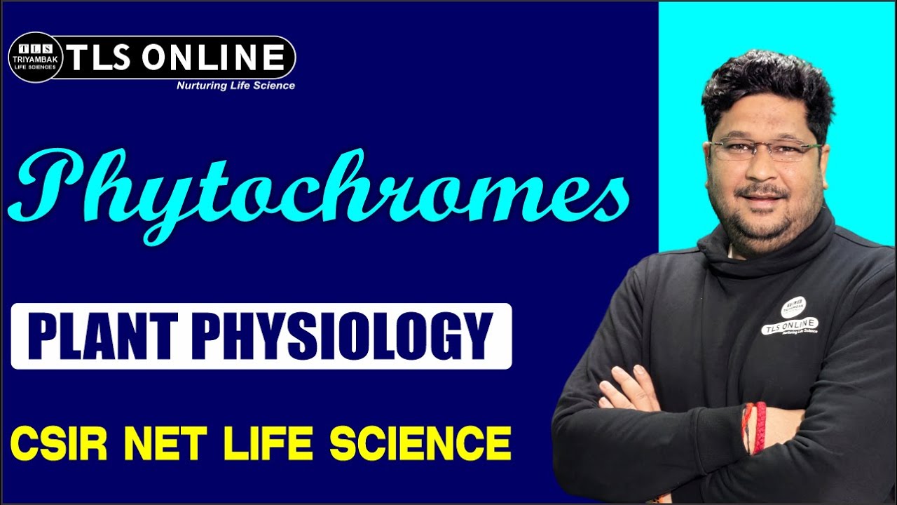 Phytochromes I Plant Physiology I CSIR NET Life Sciences I Ashish Kr Dwivedi