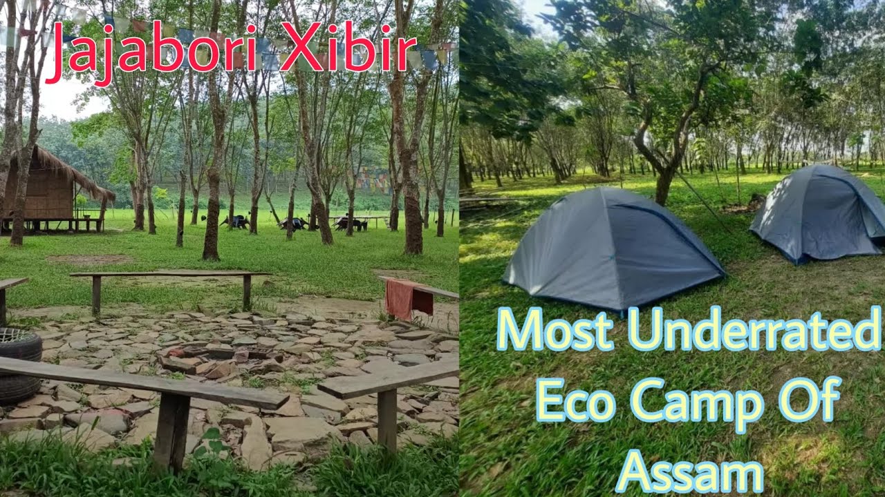 Most Underrated Eco Camp in Nagaon📍Jajabori Xibir🌲⛺@swaptadeepgarg23