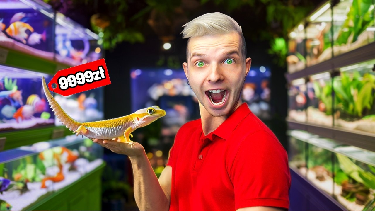M&Oacute;J NAJLEPSZY SKLEP z GEKONAMI! 🦎🏪