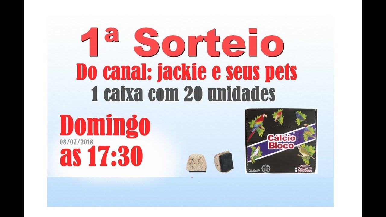 Participe do 1&ordm; Sorteio do canal  Jackie e seus pets -  Saiba como!