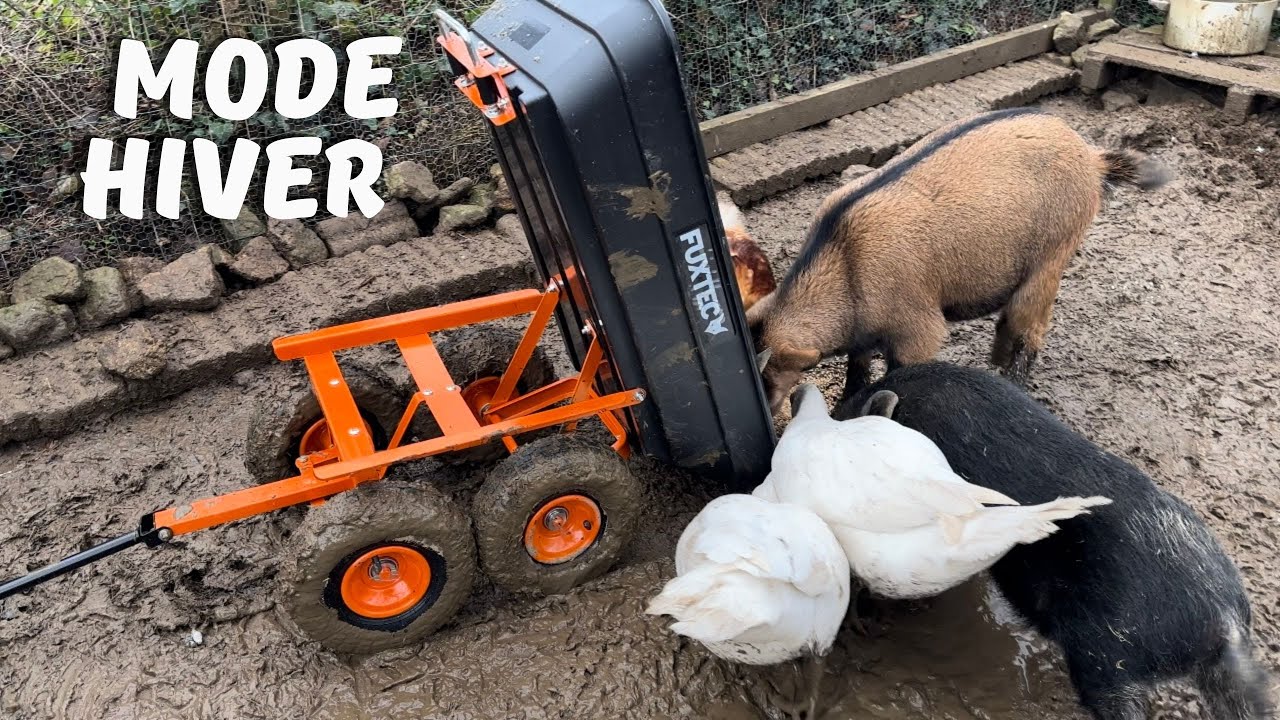 Chariot de jardin à benne basculante Fuxtec : idéal à la campagne !