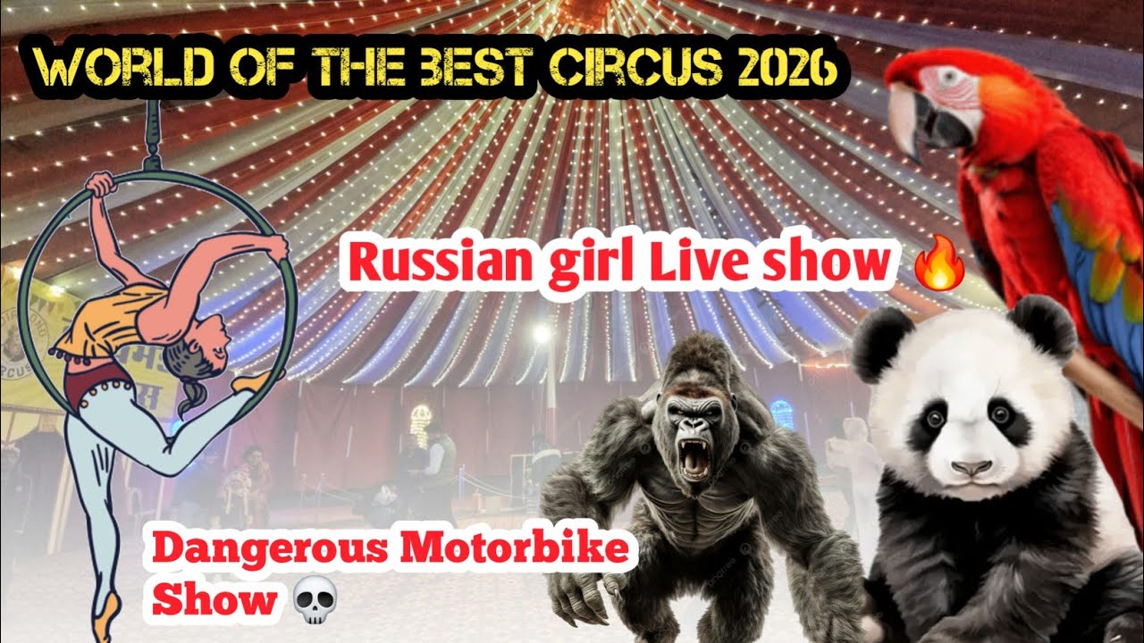  Sinthirmore Russian diamond Circus | Live Performance🔥 মন ছুয়ে যাওয়ার মতো গল্প 😢😍#video #circus 