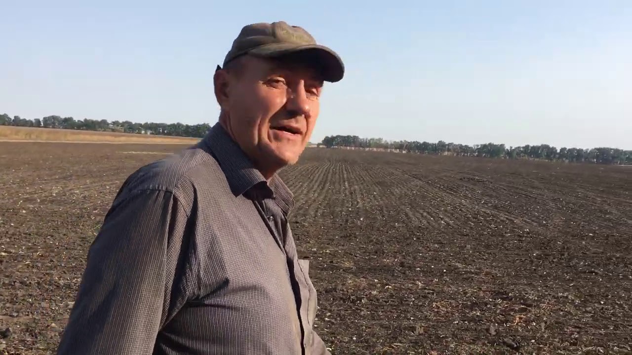 Модернізована Сіва Нова. Посів в сухий грунт
