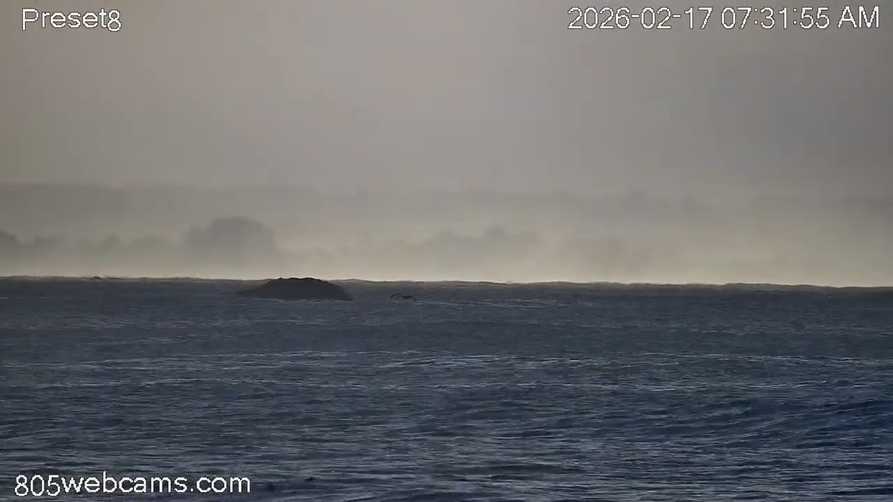 Avila Beach Webcam - Rainbow - Feb 17 2026