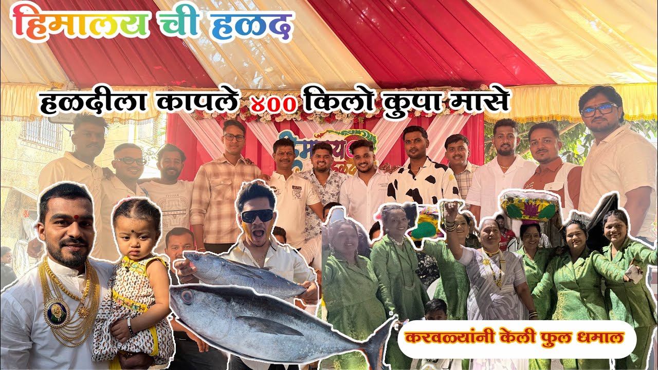 हिमालय ची हळद  ❤️ हळदीला कापले 400 किलो कुपा मासे 🐟 करवल्यानी केली फुल धमाल 😂 agrikoli haldi ❤️