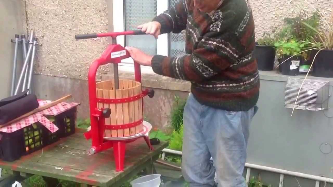 Picking Grapes and pressing them with a Healthline Apple/Grape Press GP12, 12 litre