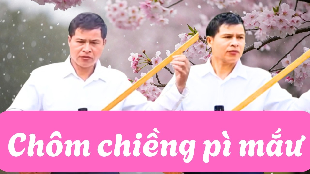 Bài hát 