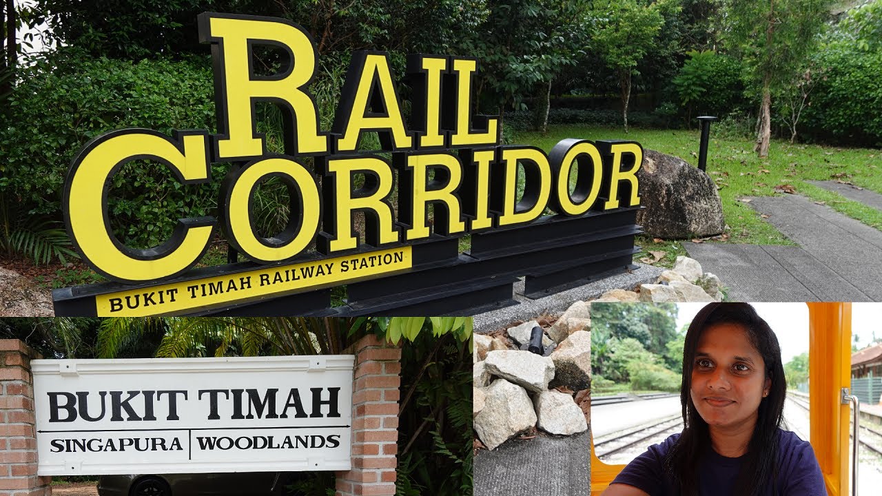 Exploring Bukit Timah Rail Corridor | Nature & History | Sinhala 🇱🇰 | Vlog 43 | Singapore 🇸🇬