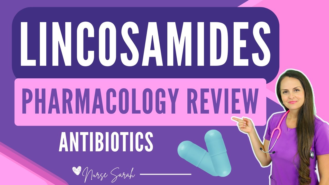 Lincosamide Pharmacology Nursing Antibiotics NCLEX Review (Clindamycin)