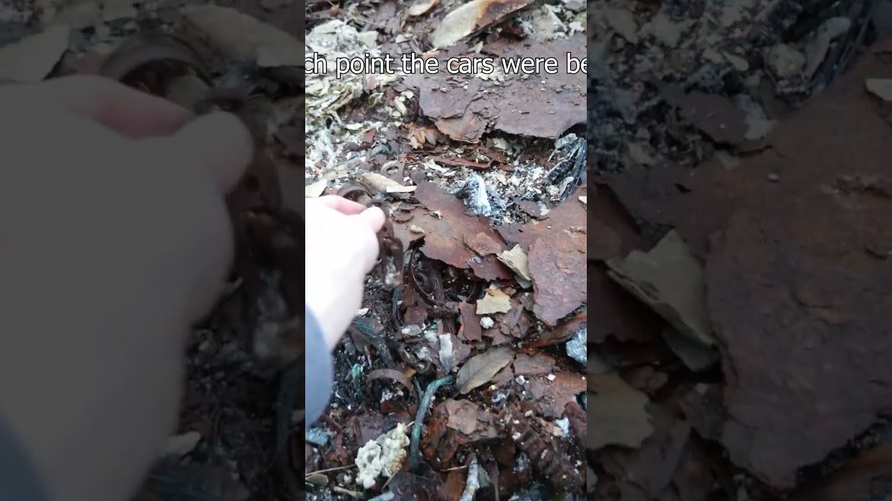 This Fire Destroyed Over 20 Classic Cars