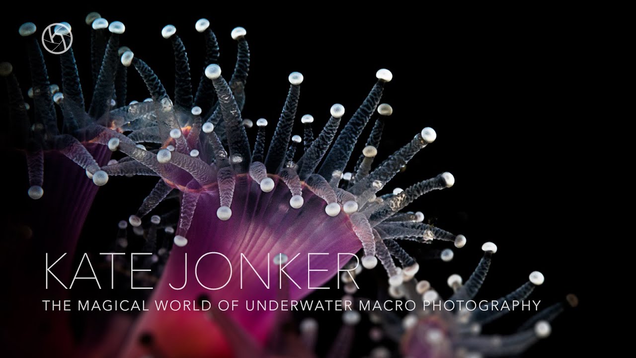 Hunters of light Creative Showcase Kate Jonker