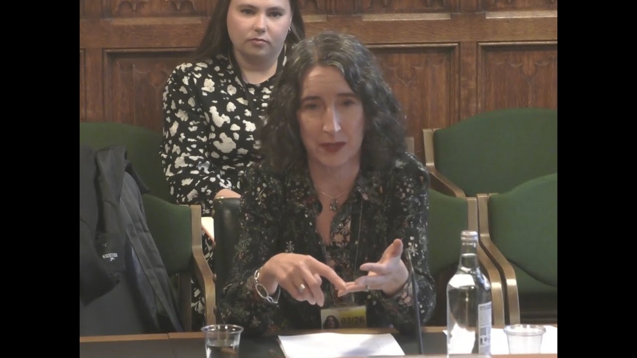 Meg Russell gives oral evidence on elections within the House of Commons