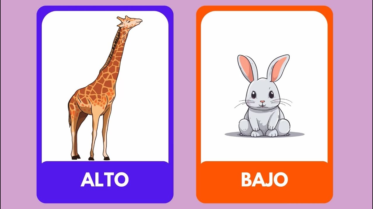 Aprende los Opuestos con divertidos flashcards