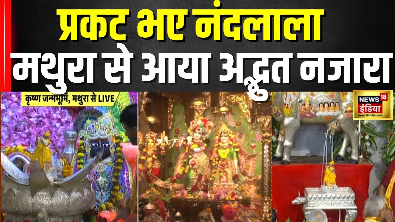 Krishna Janmashtami Celebration: मथुरा से मुंबई तक देखिए भक्तों का उत्साह।Mathura। Mumbai। Vrindavan