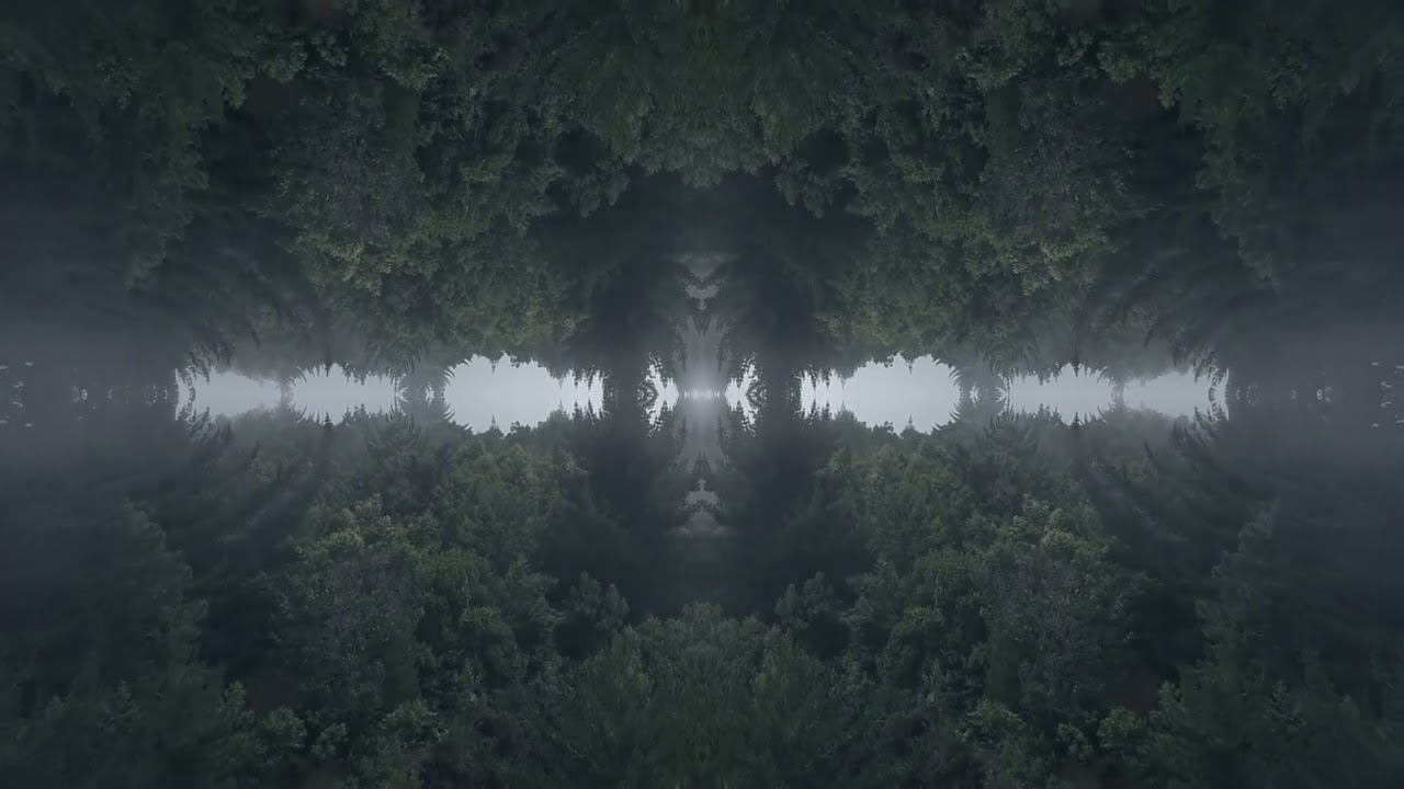 Gang Violins - I. Provenance