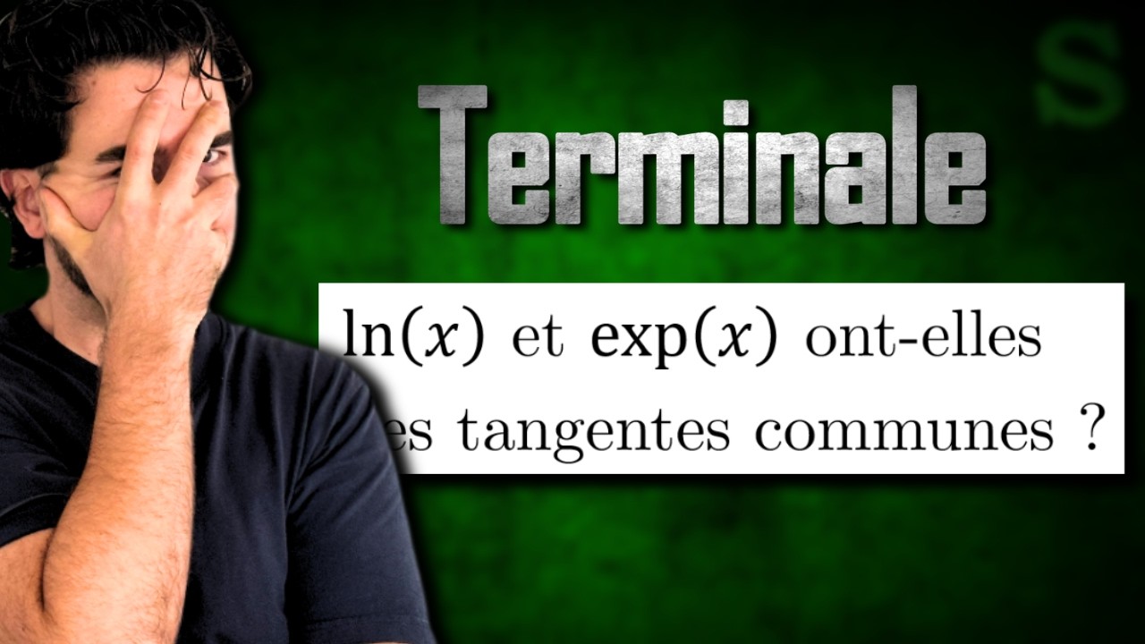 Existe t'il une tangente commune aux fonctions exp(x) et ln(x) ? Un top exo d'analyse au lycée