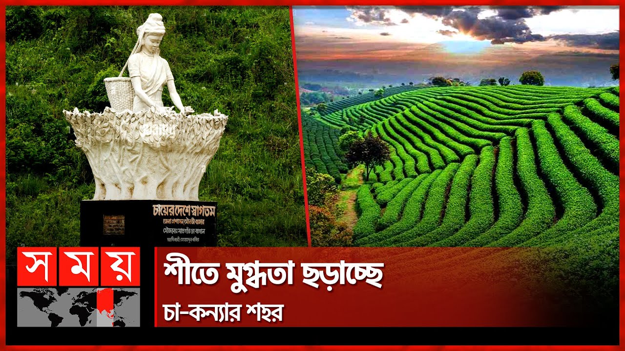 যাবেন নাকি চায়ের রাজ্য শ্রীমঙ্গলে? | Sreemangal | Tea Garden | Tourists | Somoy TV